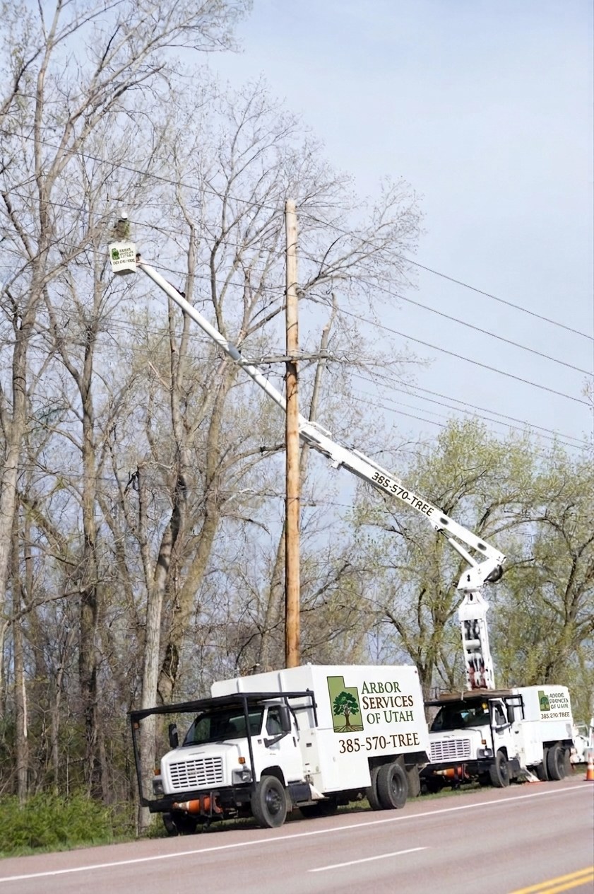 arbor services bucket trucks arbor services bucket trucks
