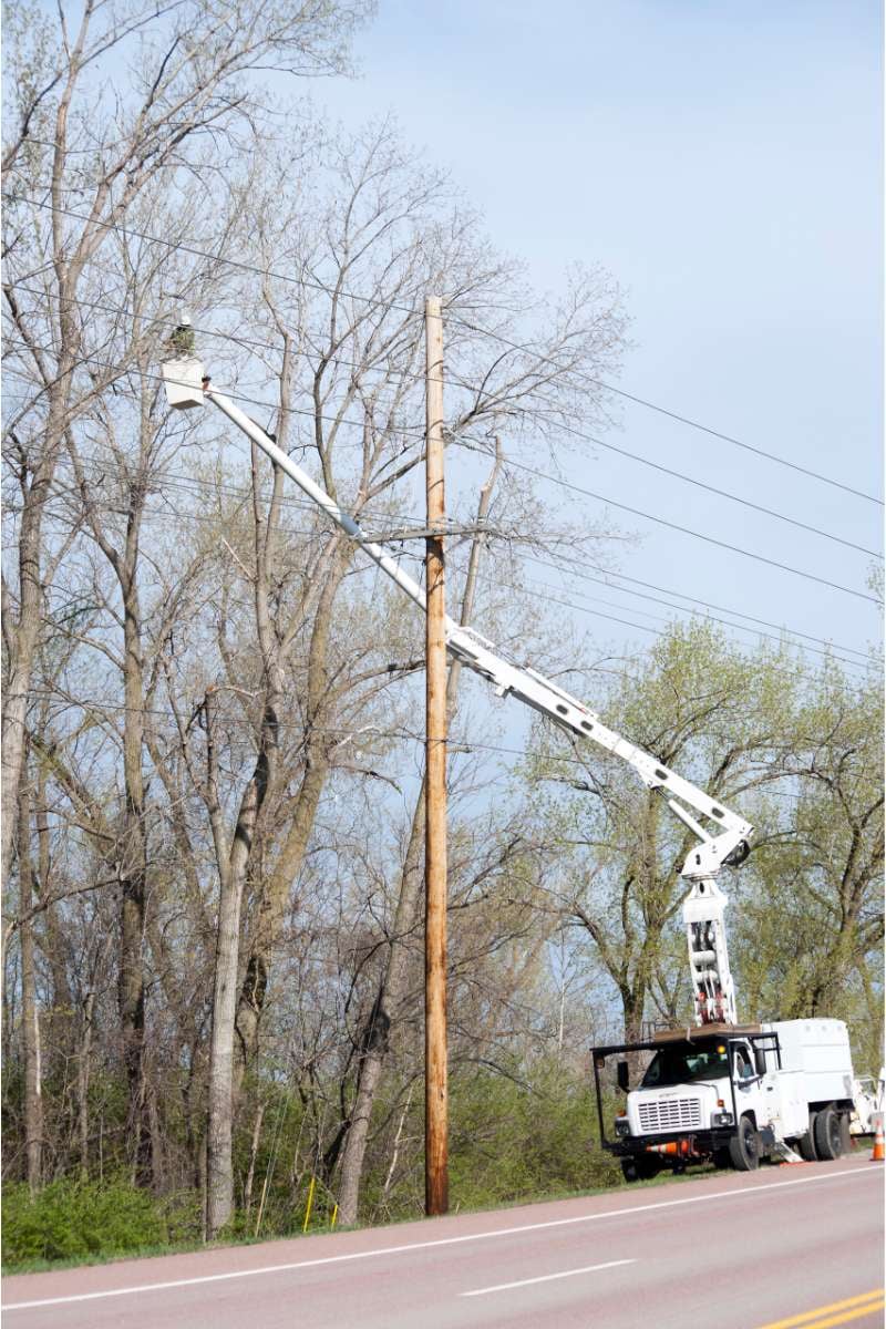 Arbor Services work site